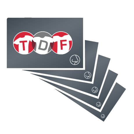 mit beidseitiger folienkaschierung